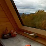 м'юзіка карпат