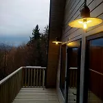 м'юзіка карпат
