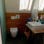 シャレー м'юзіка карпат