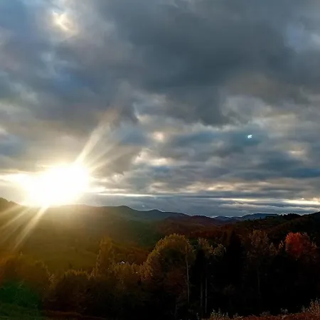 Chalet м'юзіка карпат Yavoruv