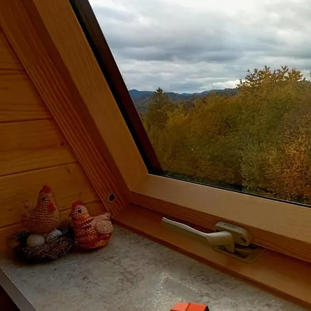 м'юзіка карпат