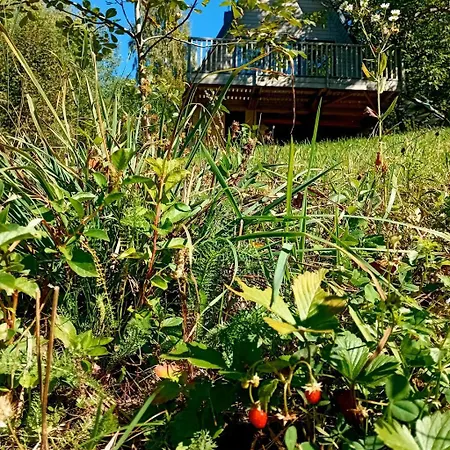 м'юзіка карпат Chalet