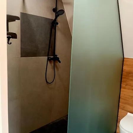 м'юзіка карпат