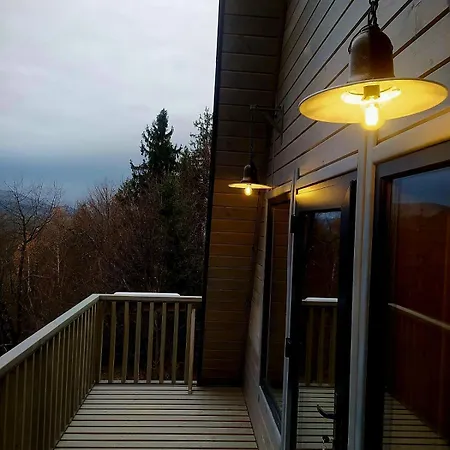 м'юзіка карпат