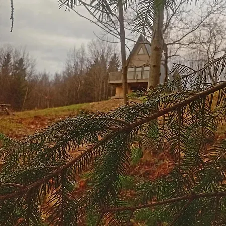 м'юзіка карпат Chalet Yavoruv