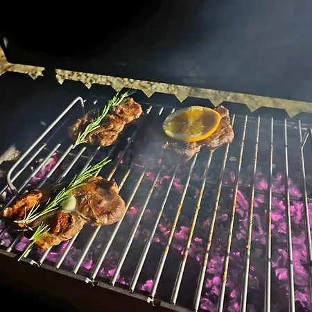 м'юзіка карпат Chalet Yavoruv