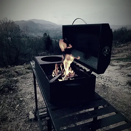 м'юзіка карпат Yavoruv