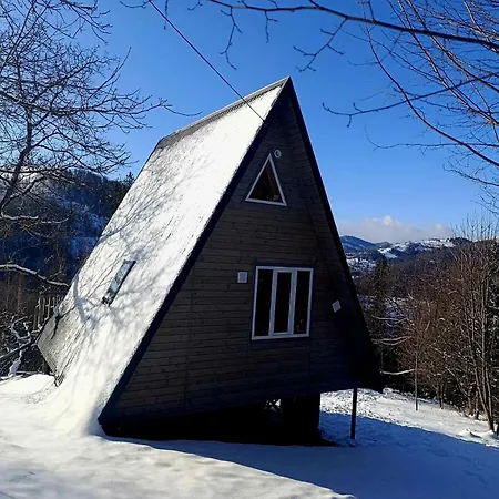 シャレー м'юзіка карпат *