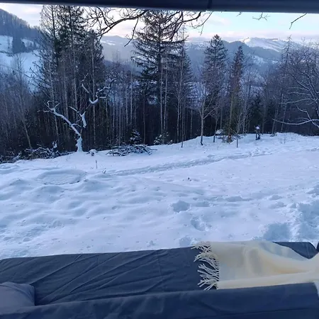 м'юзіка карпат Chalet *