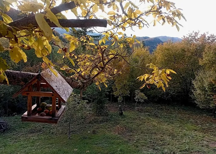 м'юзіка карпат