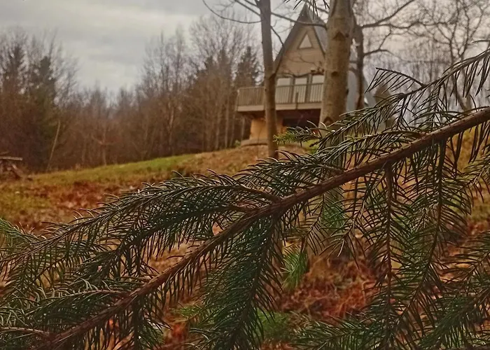 м'юзіка карпат شاليه Yavoruv