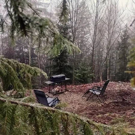 м'юзіка карпат Chalet Yavoruv